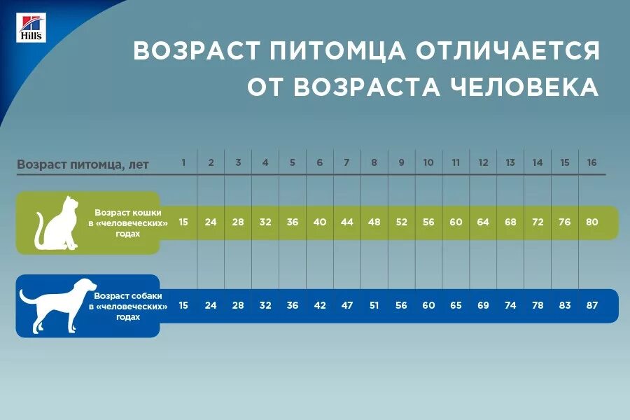 Как посчитать сколько собаке. Таблица возраста собак по человеческим меркам таблица. Таблица возраста собак по человеческим меркам мелких пород. Сколько по человеческим меркам собаке лет 2 года таблица. Возраст собаки и кошки по человеческим меркам таблица.