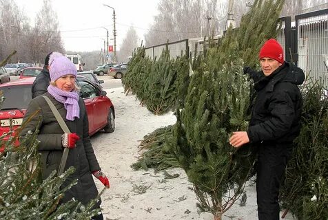 Почем ели