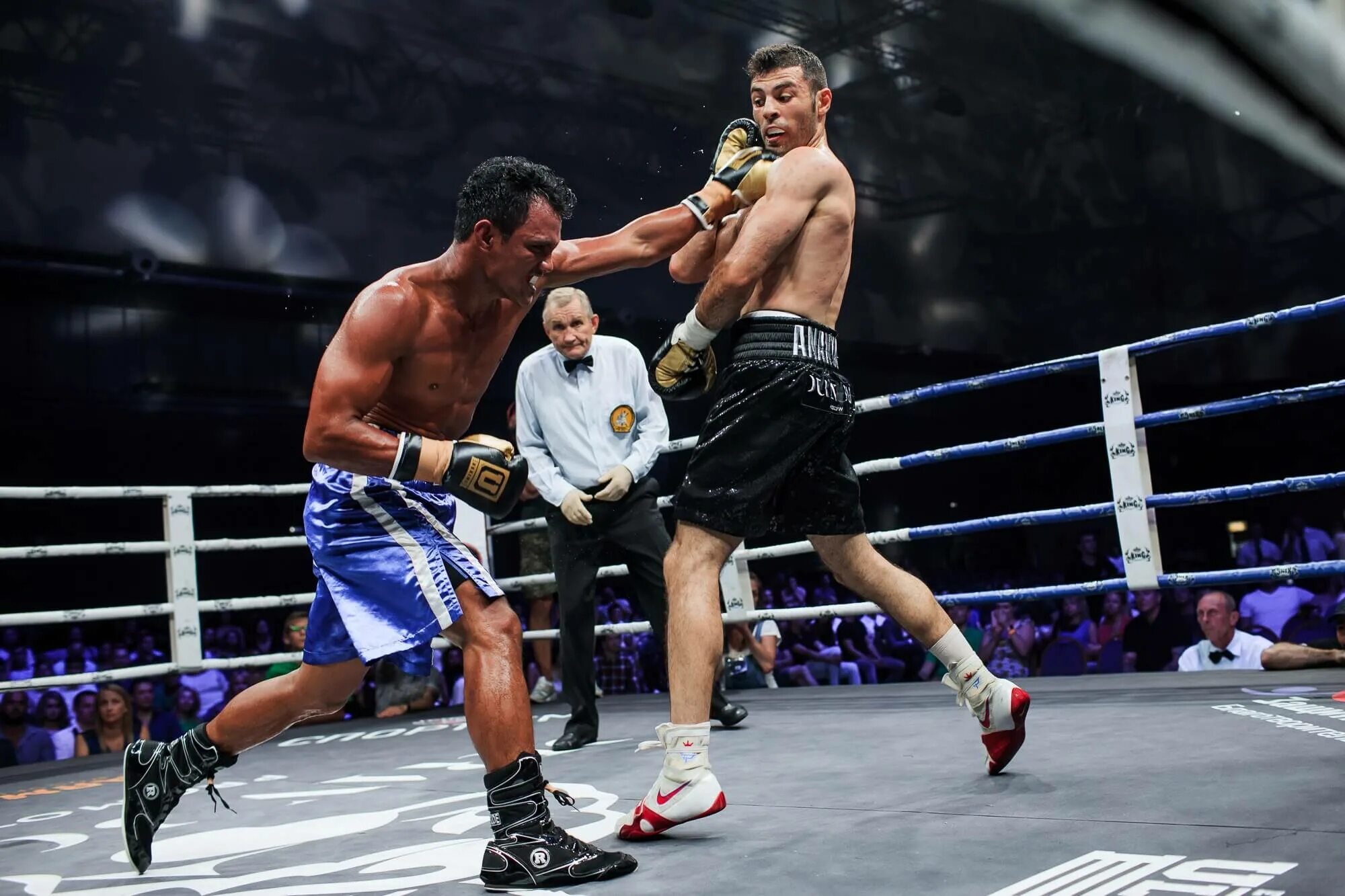 Boxing promotions. Энерджи бокс. GP промо бокс. Box Tournament.