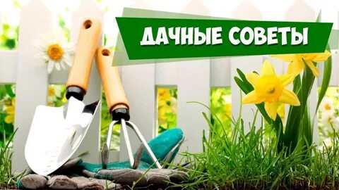 Удачный садовод