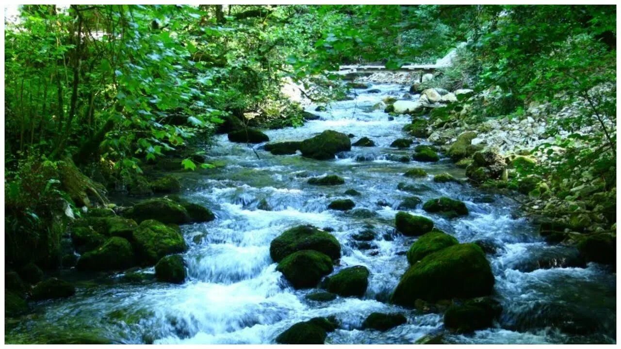 Шум воды ручья. Звуки природы журчание ручейка. Журчат ручьи. Журчащий Ручеек. Журчащая речка.