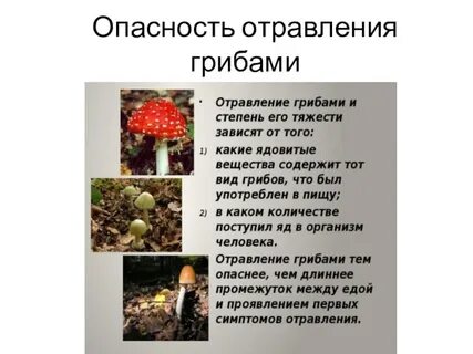 Опасность отравления