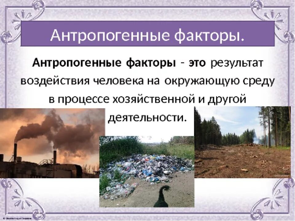 Примеры антропогенного фактора в природе. Антропогенные факторы. Факторы антропогенного воздействия на окружающую среду. Влияние антропогенных факторов. Антропогенные факторы влияние человека на окружающую среду.