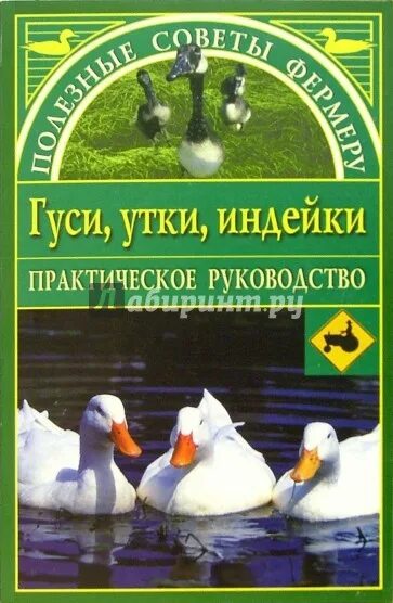 Книги разведение уток. Гусь с книгой. Книга про разведение индюшат. Гуси утки индейки