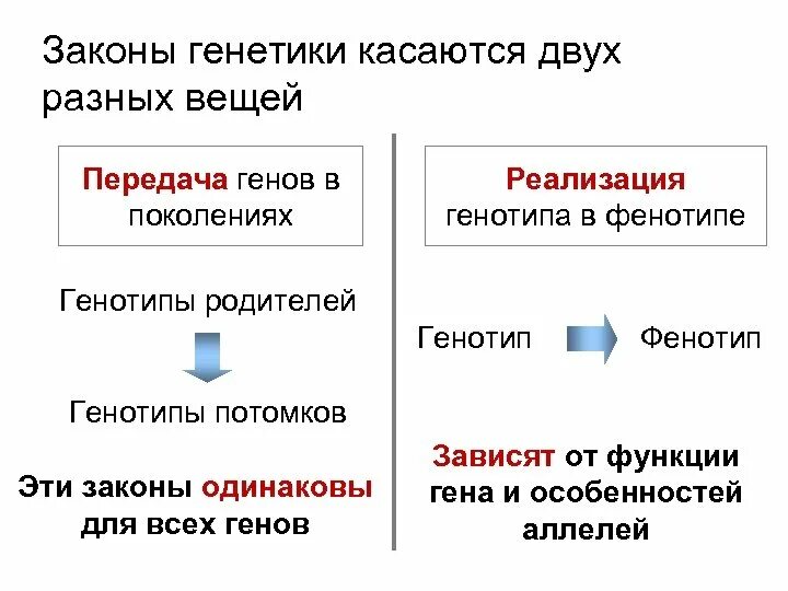 Генетик закон. Законы генетики. законы в генетике. основные законы генетики. законы генетики кратко.