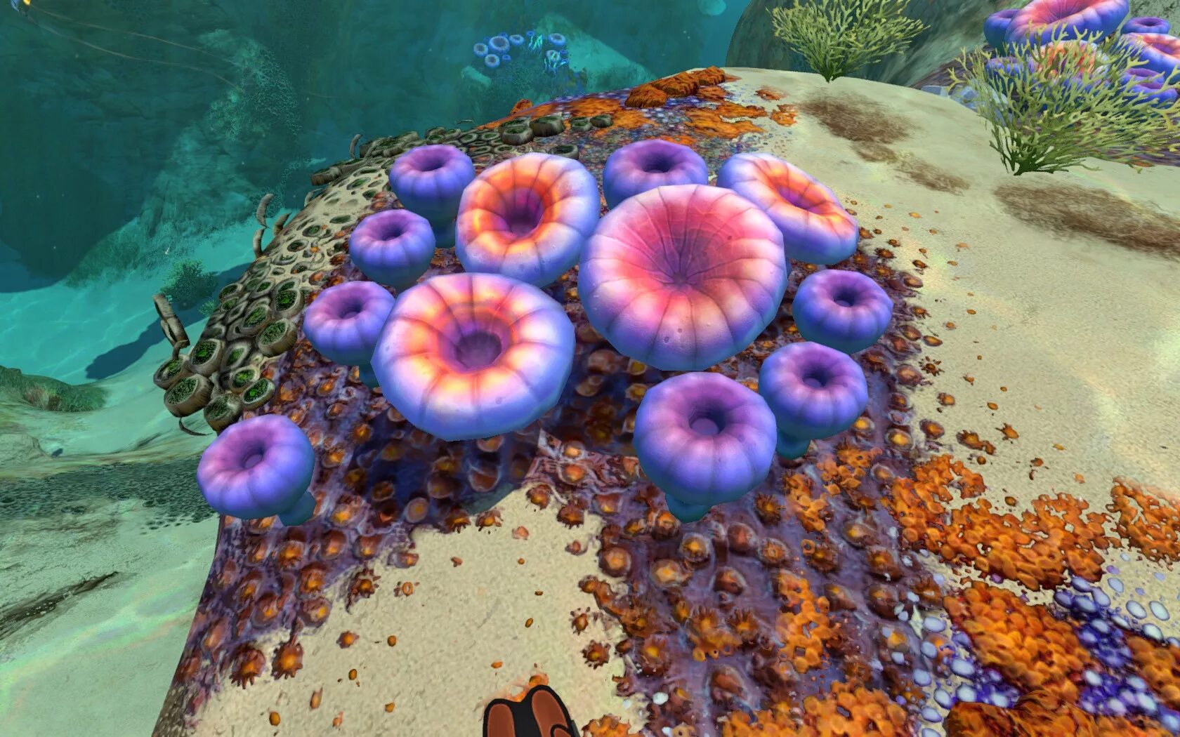 Subnautica ленточник. Дюны сабнатика. Мозговой коралл Subnautica. Subnautica образец пластинчатого