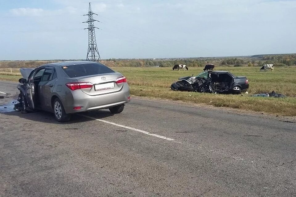 Смертельное дтп поселок березовый. Дтп сводка дня. Дтп в новосибирске за последние сутки в новосибирске аст 54. Дтп сводка дня. Дтп сводка дня.