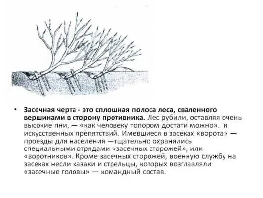 Засечная черта факт. Засечные черты 16-17 века. Белгородская засечная черта 17 века. Засечная черта ивана грозного. Засечная черта белгород 2022.