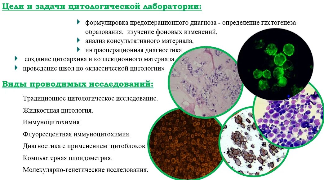 Материал для цитологического исследования. Методика проведения цитологического исследования. Цитологические исследования в лабораторной диагностике. Объекты и методы исследования в цитологии. Науки биологии цитология