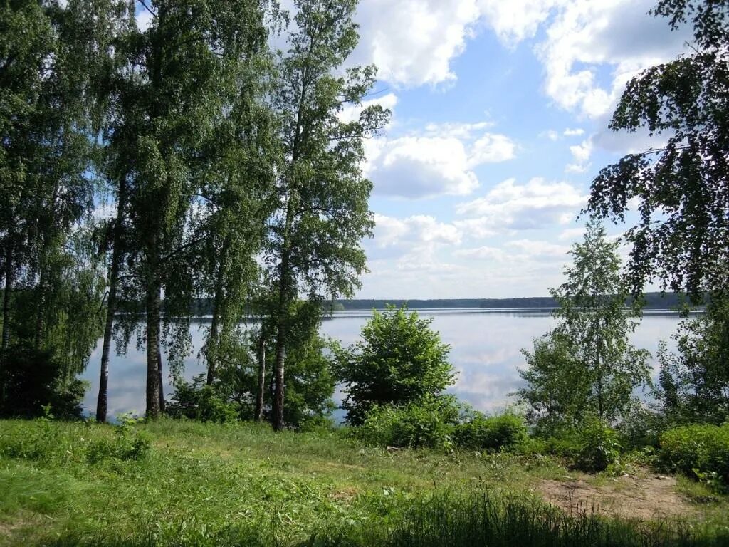 Дача истринское водохранилище. Домики для отдыха. Дача пугачевой на истре. Отдых на даче. Дача истринское водохранилище.