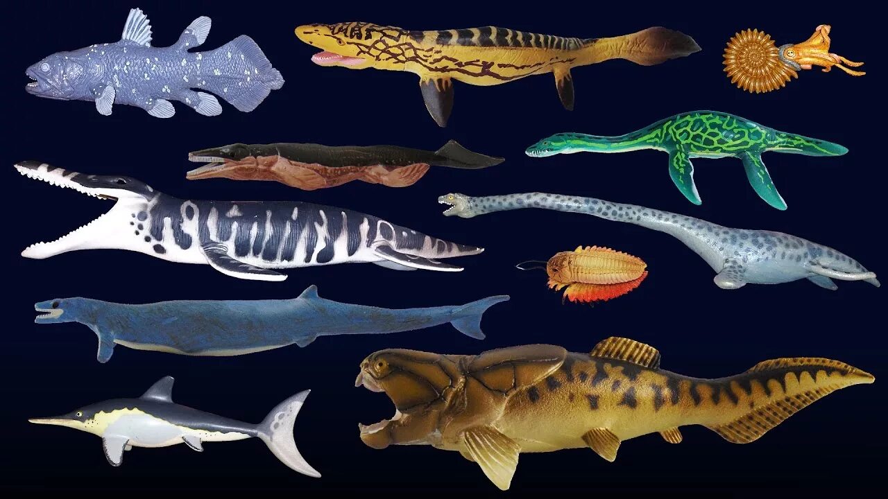 Prehistoric Sea Life - Dunkleosteus - The Kids' Picture Show (Fun & Educational 