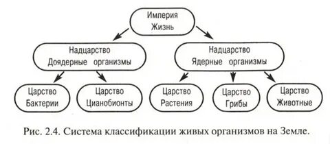 Живые организмы таблица