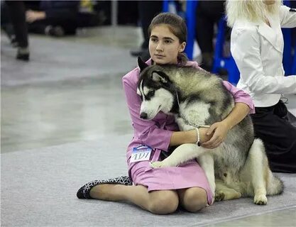 Хендлинг аризона