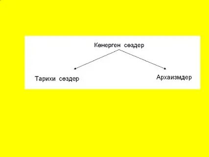 Термин сөздер дегеніміз не