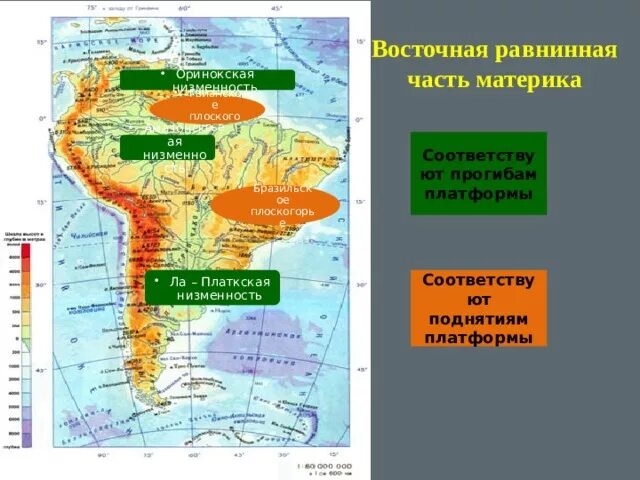 Оринокская низменность на карте Южной Америки. Южная Америка равнины Оринокская. Гвианское плоскогорье на карте Южной Америки. Оринокская низменность Северная Америка.