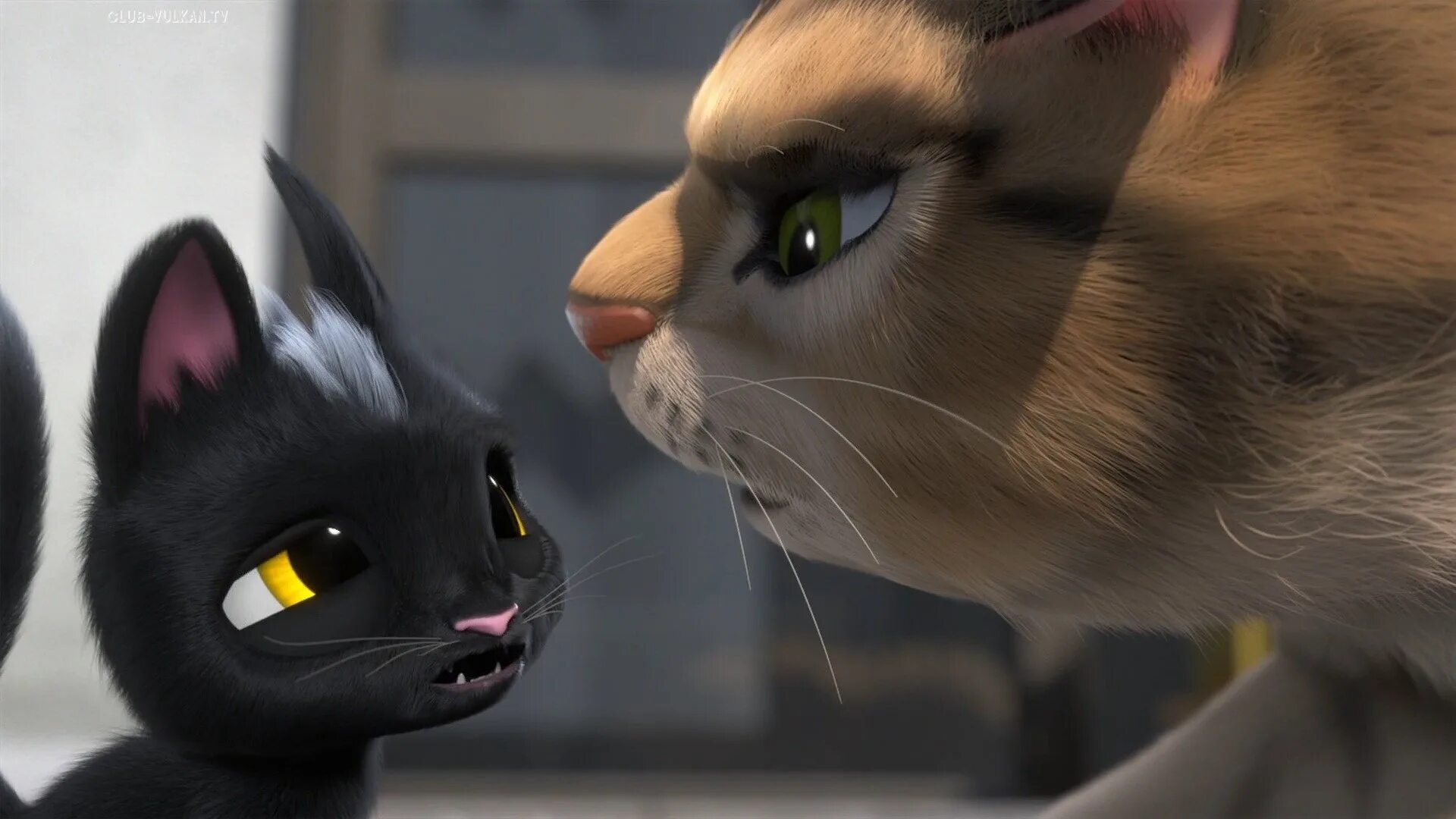 Жил был кот рудольф. Черный кот рудольф (2016). Жил был кот очень. Мультик про кота рудольфа. Жил был кот очень.