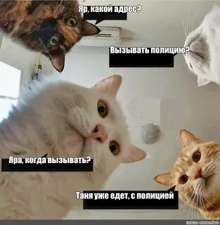 Таня вызывает