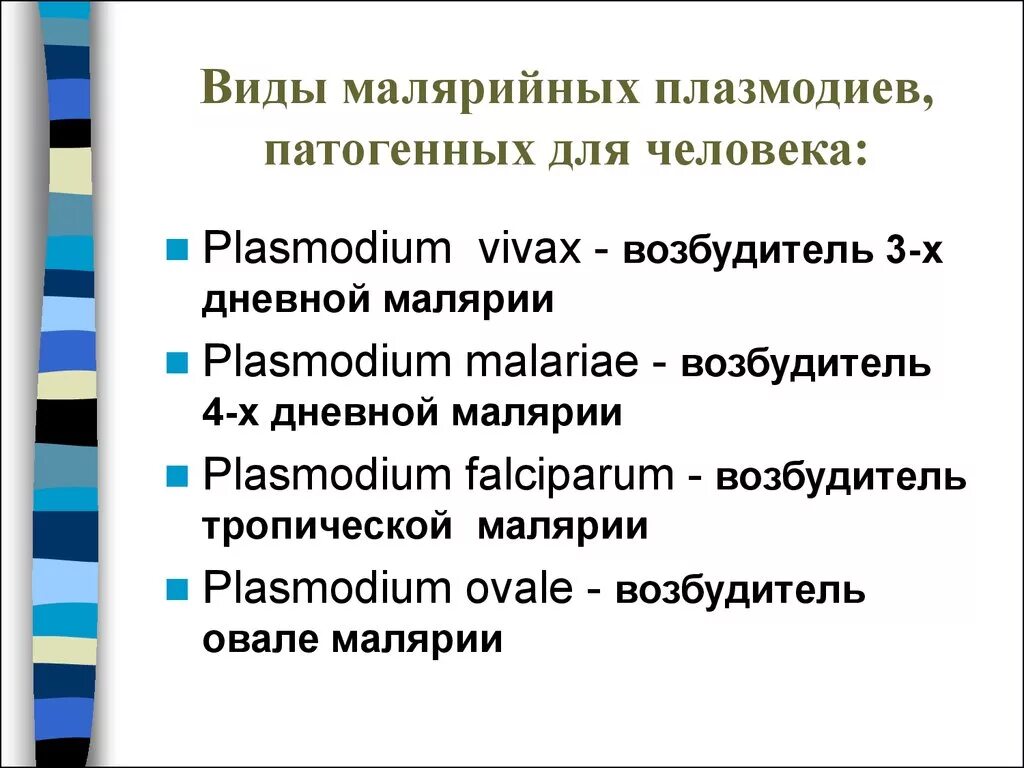 Виды малярийного плазмодия паразитирующего у человека. Виды малярийных плазмодиев. Малярийный плазмодий вилы.