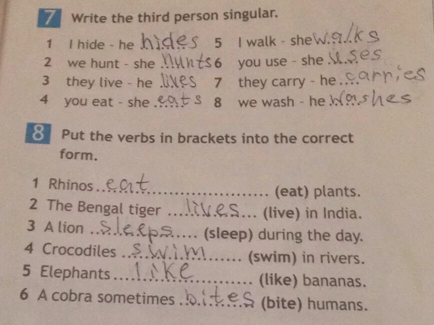 They carry he. Write the third person singular 5 класс. Put the verbs in Brackets in the third person singular. Write the verbs in the third person singular.. Put the verbs in Brackets in the third person singular 5 класс ответы.