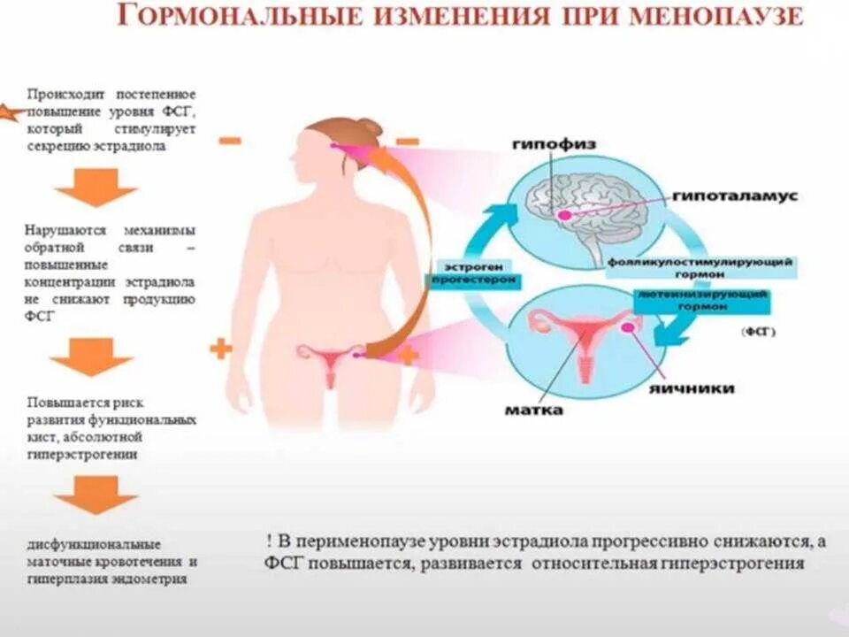 Может ли сбиться цикл после первого раза