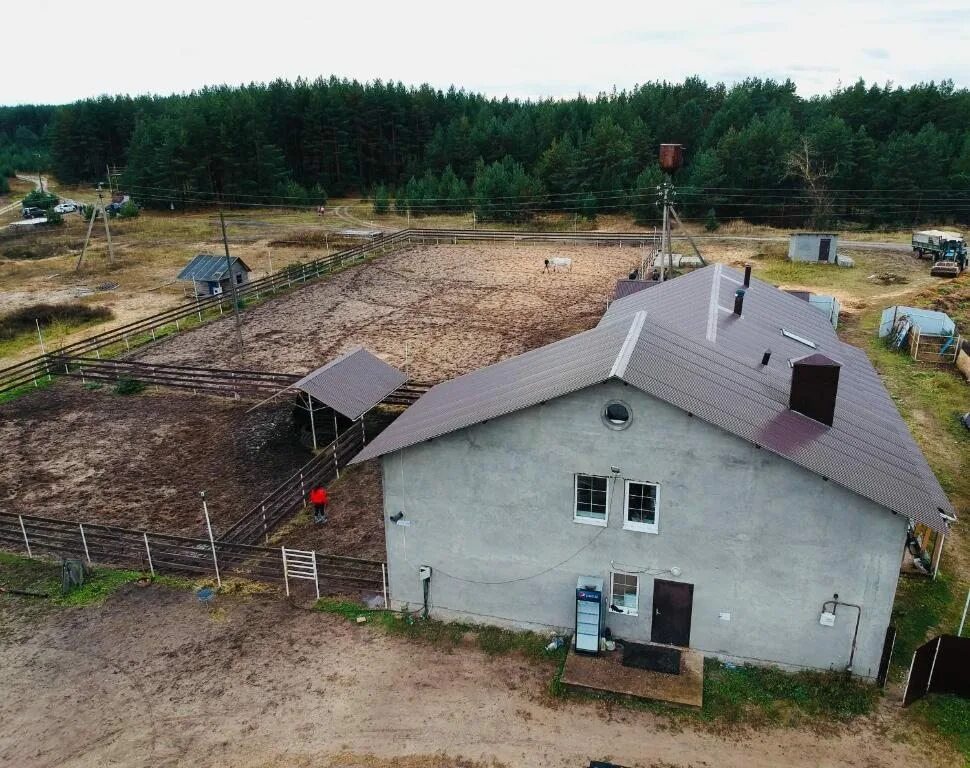 Дом верховая. Лощинино Касимов. Деревня Лощинино Рязанская область. Лощинино Касимовский район конный двор. Гостиница Лощинино Касимов.