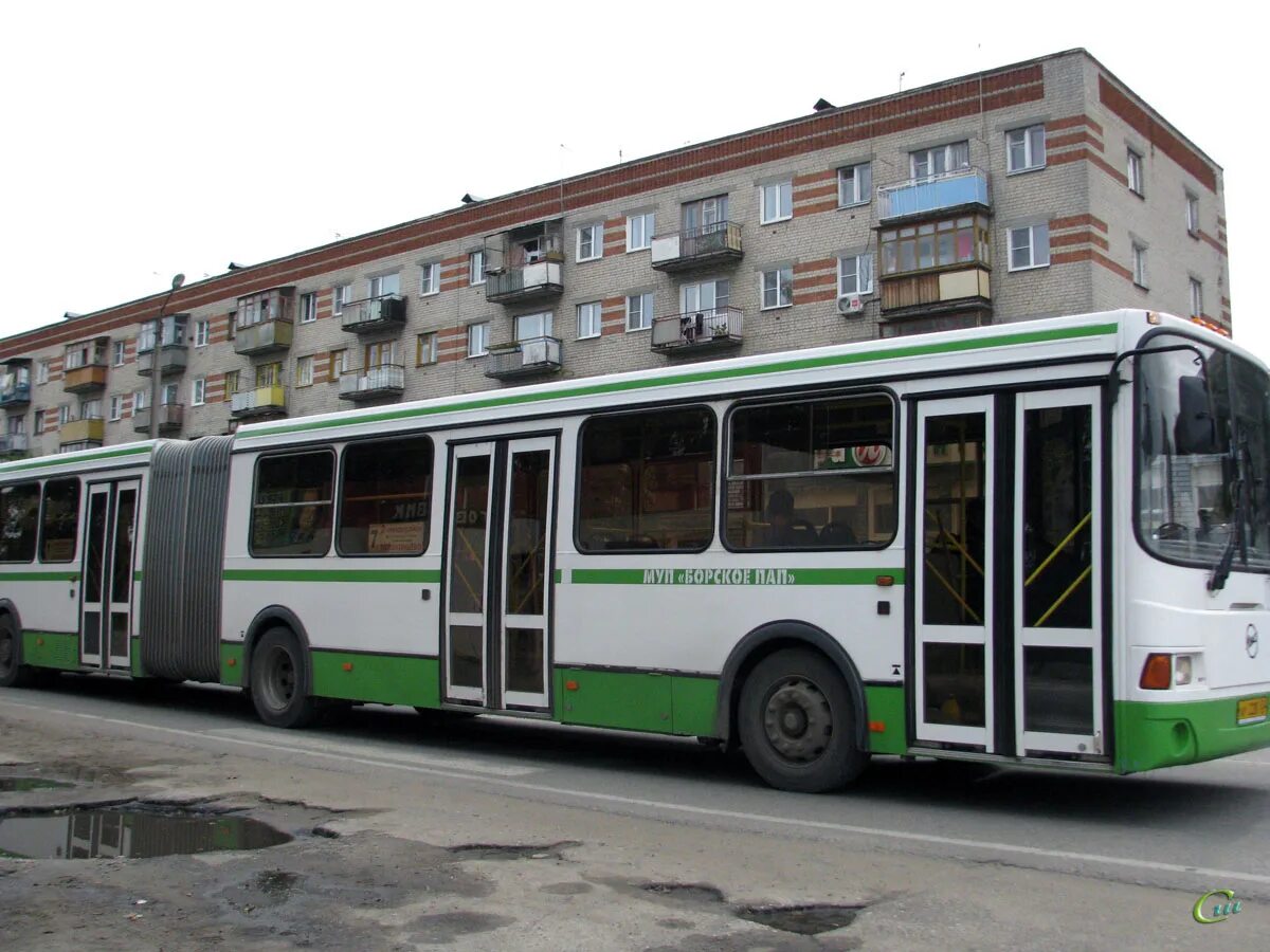 236 автобус бор. 245 Автобус. Общественный транспорт Бор. Борские автобусы. 303 Автобус Бор.