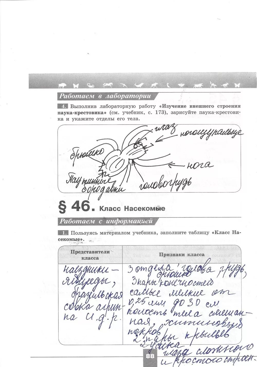 Биология 7 класс рабочая тетрадь Пасечник ответы. Лабораторная по биологии 7 класс Пасечник. Гдз по биологии 7 класс Пасечник. Гдз биология 7 класс Пасечник.