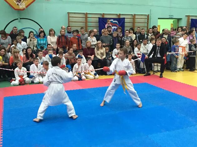 Каратэ шотокан ижевск. Поселок карате. Каратэ новокузнецк. Карате киу ккушункай. Каратэ школа шотокан каратэ.