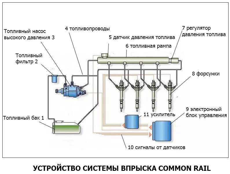 Топливная система common Rail дизель схема. Схема топливной системы дизельного двигателя common Rail. Схема системы впрыска common Rail. Система питания common Rail дизельного двигателя.