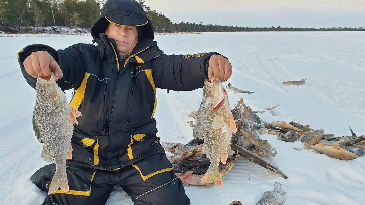 Форум рыбаков на севере. Зимняя рыбалка на севере. Рыбаки на севере. Рыбалка на льду. Первый лед на озере.