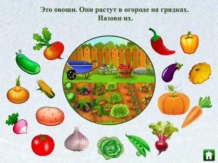 Игра про овощи для детей