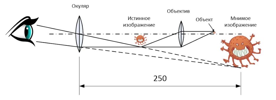 Схема оптического увеличения