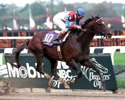 The horse won the race