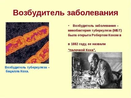 Палочка коха является возбудителем