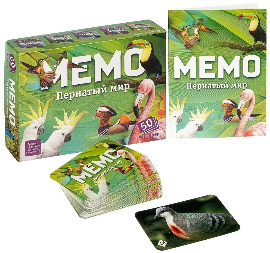 Мемо сайт. Мемо &quot;пернатый мир&quot; арт.7952. игра мемо пернатый мир. мемо пернатый мир .7952. мемо пернатый мир арт.7952 /48.