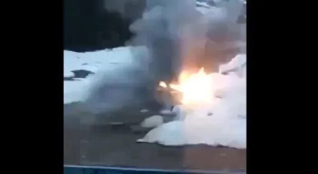 Напавший медведь в якутии. Вахтовики взорвали медведя. в якутии взорвали медведя.