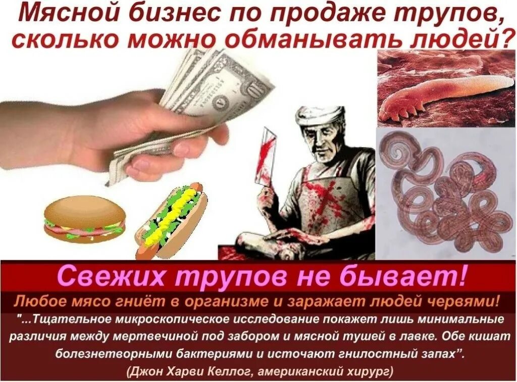 Можно ли человеку есть мясо