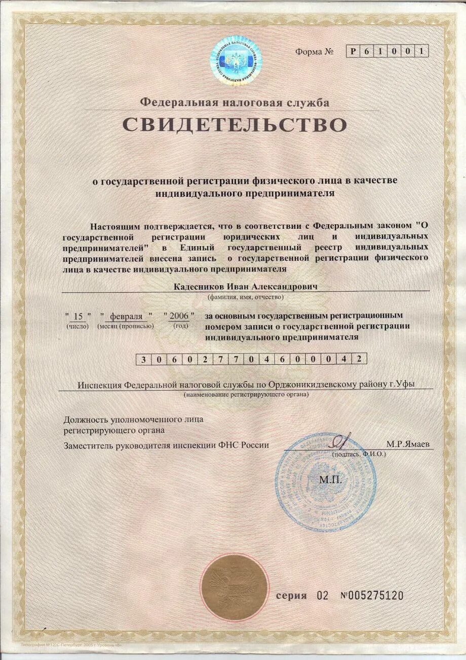 Как выглядит свидетельство ип 2025