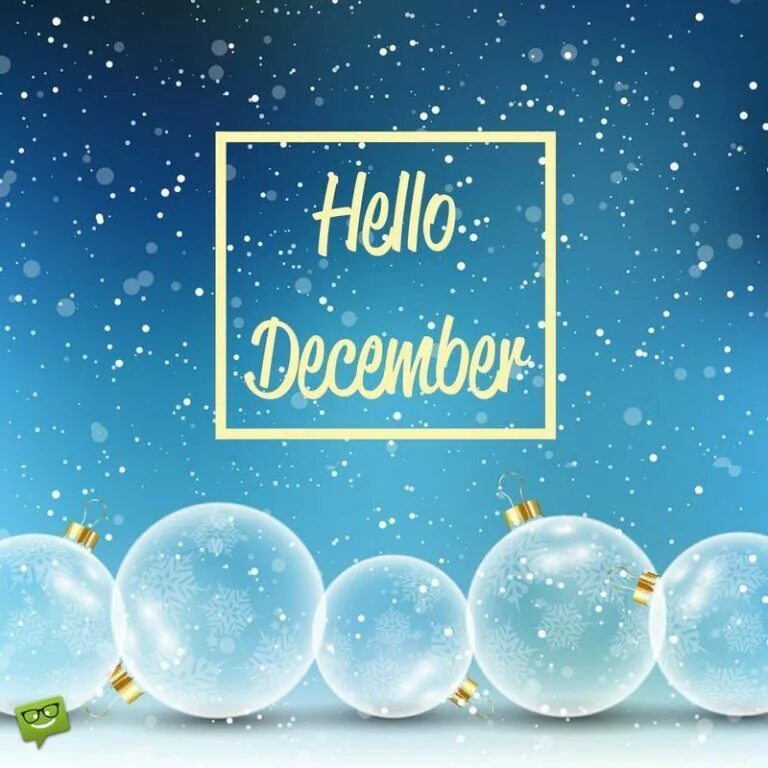 Hello 14. Hello December. Hello December Disney 2024. Blessed of December Limited.