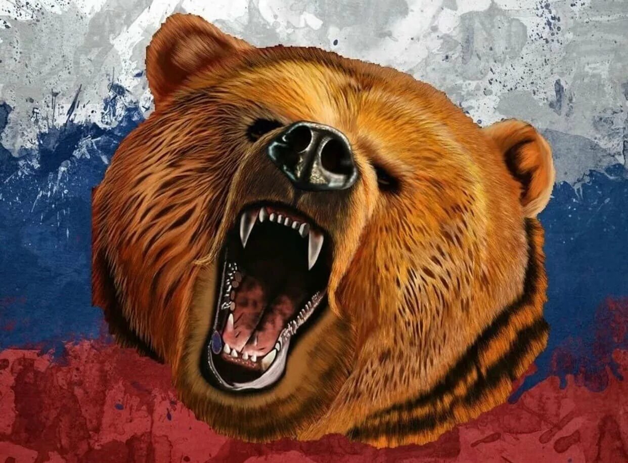 Сайт русский медведь. Русский флаг с медведем. Медведь с флагом. Медведь на фоне российского флага. Российский флаг с медведем.