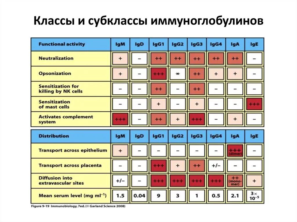 Классы и подклассы иммуноглобулинов. Подклассы иммуноглобулина g. Субклассы иммуноглобулинов. Характеристика классов иммуноглобулинов.