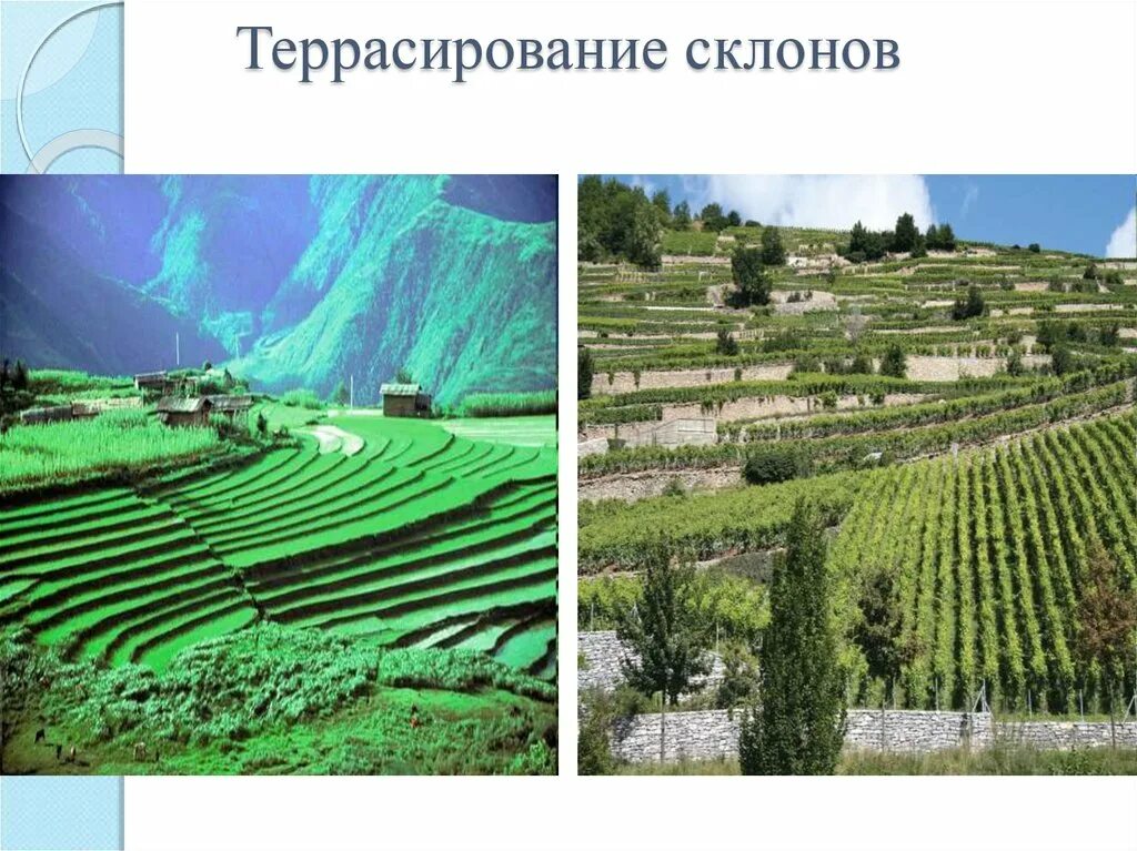 Террасирование склонов обеспечивает контроль над. Террасирование горных склонов. террасирование склонов для ведения сельского хозяйства. террасирование склонов рационально.