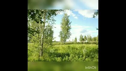 Песня край березовый слушать