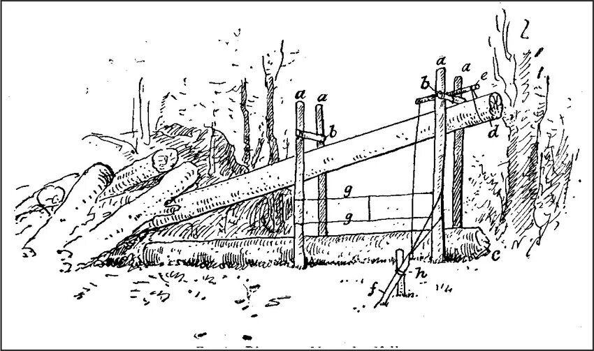 Logging trap. Мэнкетчер. барабанная ловушка. mancatcher trap. mancatcher.