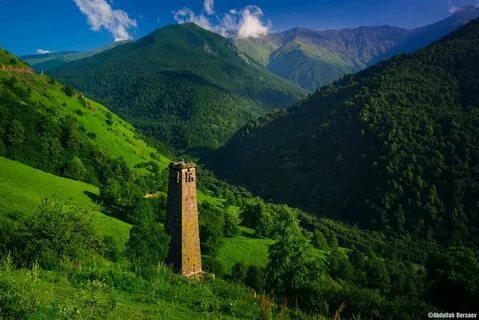 Там в горах чечни