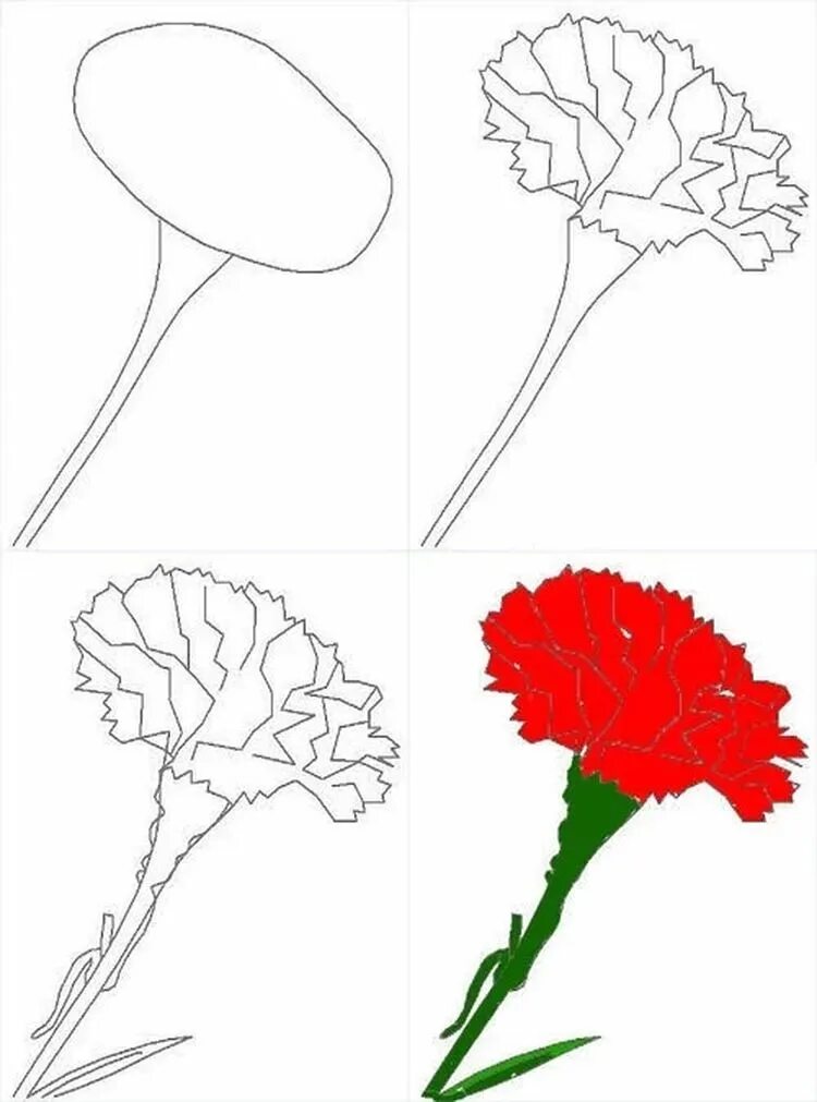 Цветы на 9 мая рисунок. Рисование гвоздики. Гвоздики рисунок. Поэтапный рисунок гвоздики. Рисование гвоздики к 9 мая.