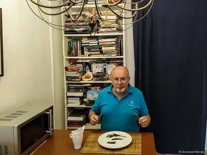 Дневник отчаянных пенсионеров на дзен публикации последние