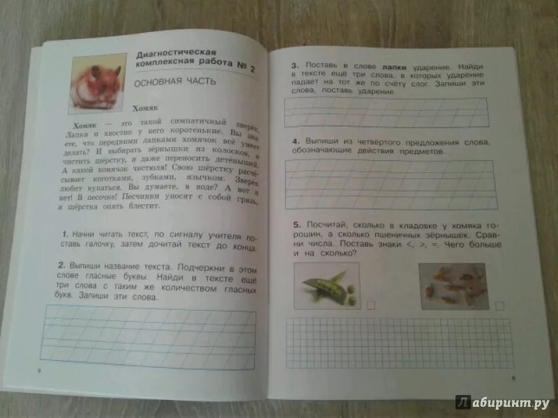 Комплексные задания для 1 класса. Комплексная работа 2 класс. Интегрированные предметные диагностические работы 2 класс. Комплексные проверочные работы 2 класс фгос школа. Комплексная проверочная работа 2 класс.