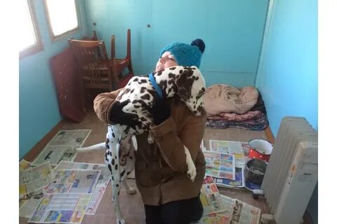 Приют ульяновск