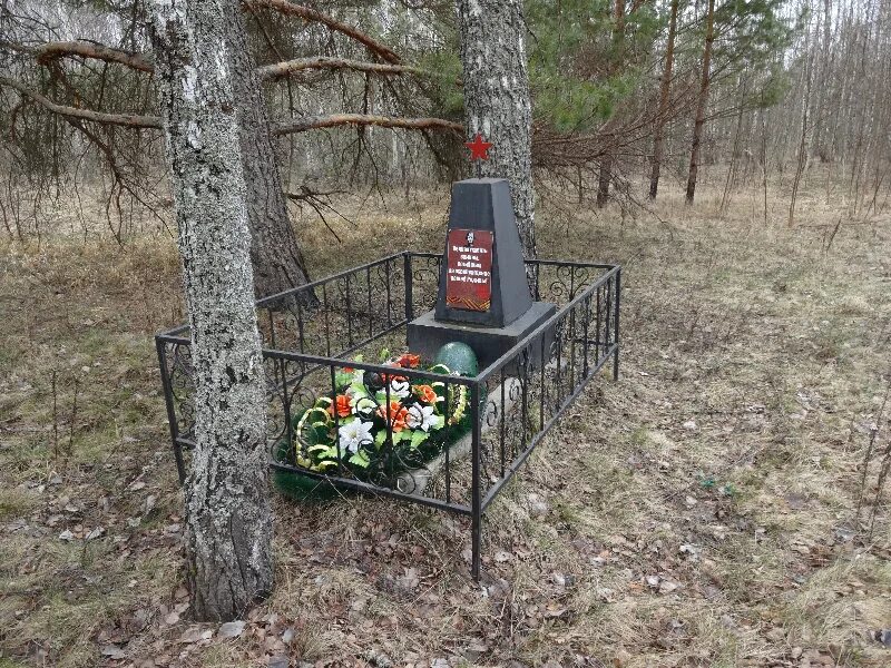 Калужская область Куйбышевский район памятник село Жерелево. Село Жерелево Калужская область памятник погибшим. Село Стрельна памятник воинам Калужской области. Гробница на могилу.